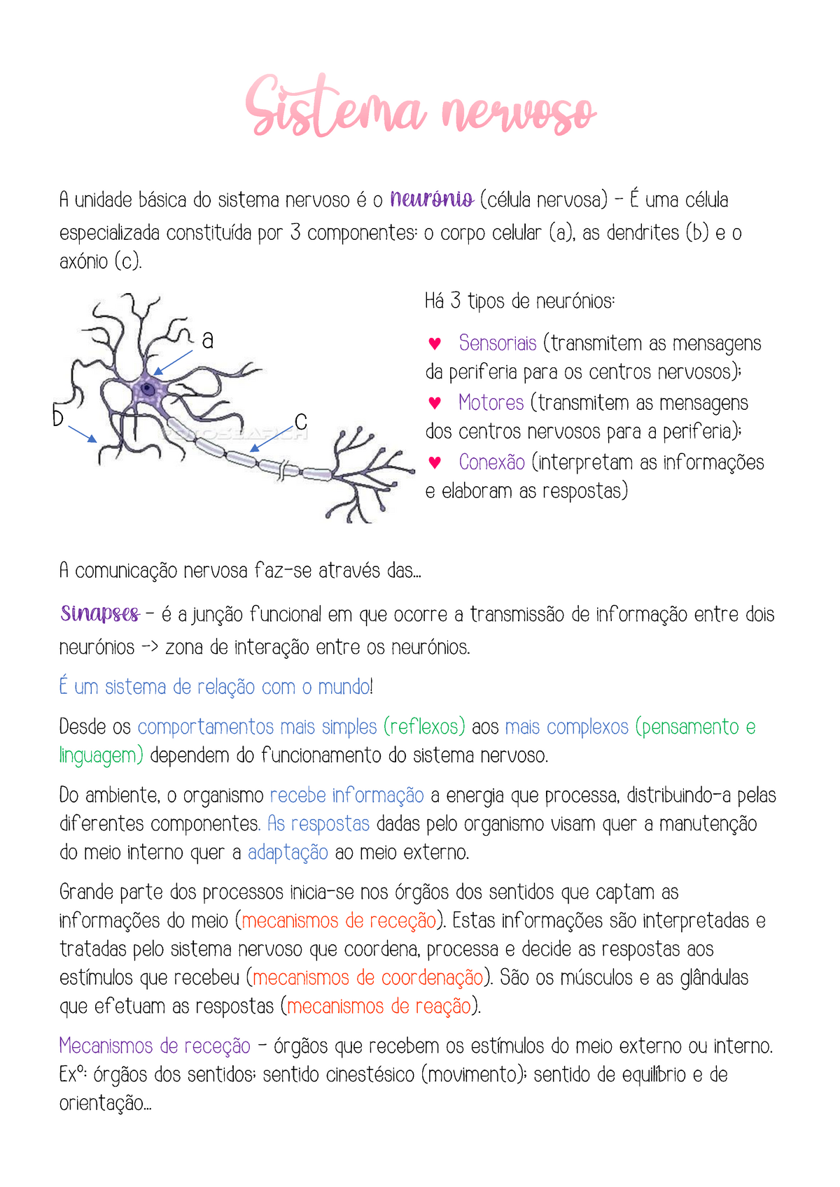 Sistema Nervoso - Apontamentos Sobre Psicologia B - Warning: TT ...