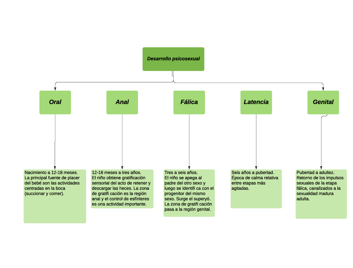 Mapa conceptual de las etapas del Desarrollo psicosexual - Desarrollo  psicológico - Studocu