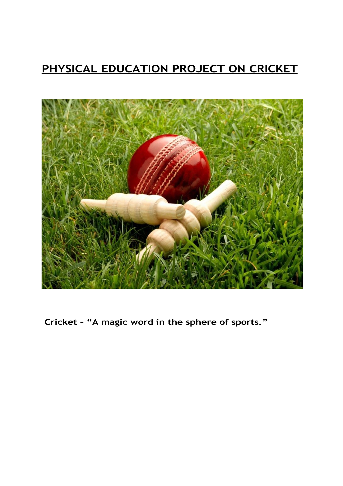 physical education assignment on cricket