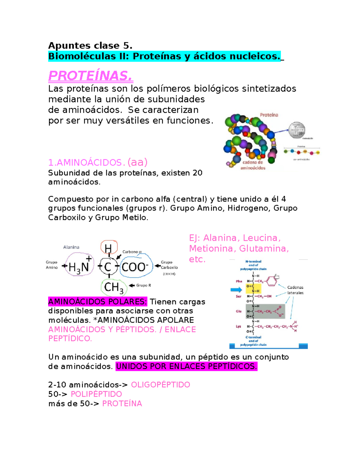 Apuntes clase 5 TEO biologia celular Apuntes clase 5. Biomoléculas II
