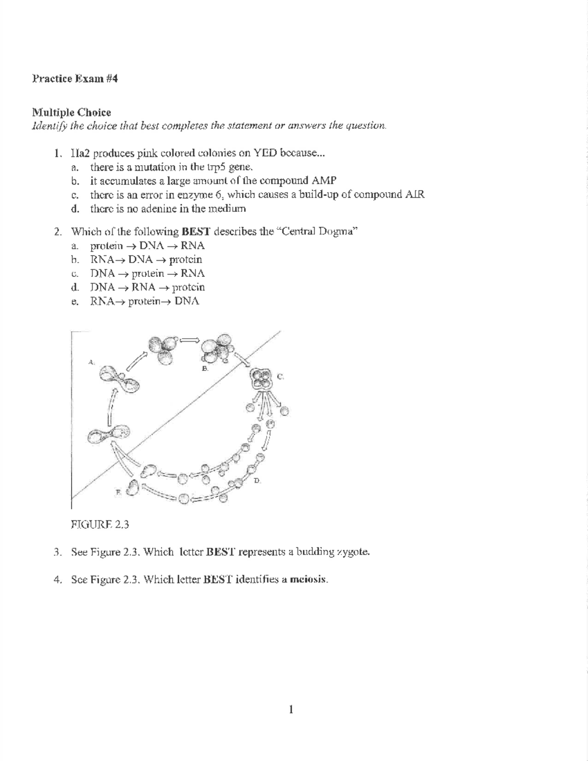 Practice+Exam+4+problems+2022 - Practice Exam Multiple Choice Identify ...