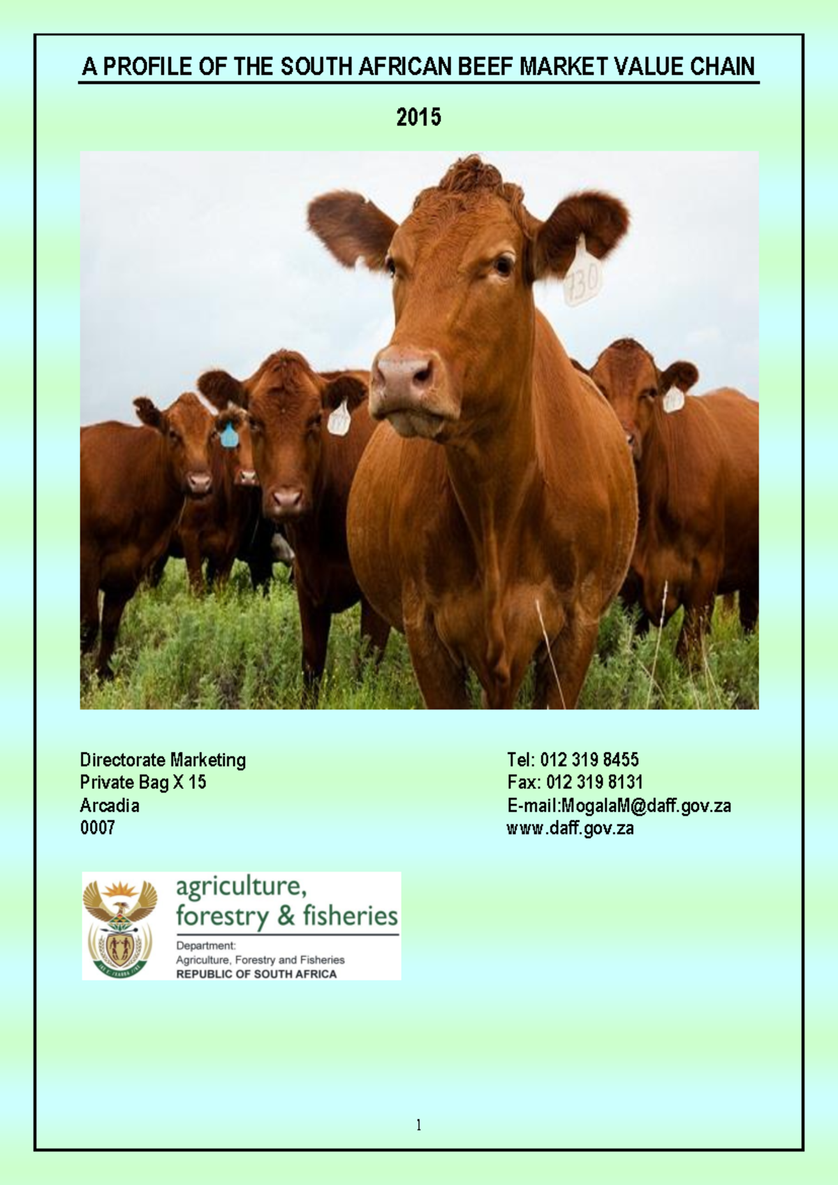 Beef market value chain profile 2015 - A PROFILE OF THE SOUTH AFRICAN ...