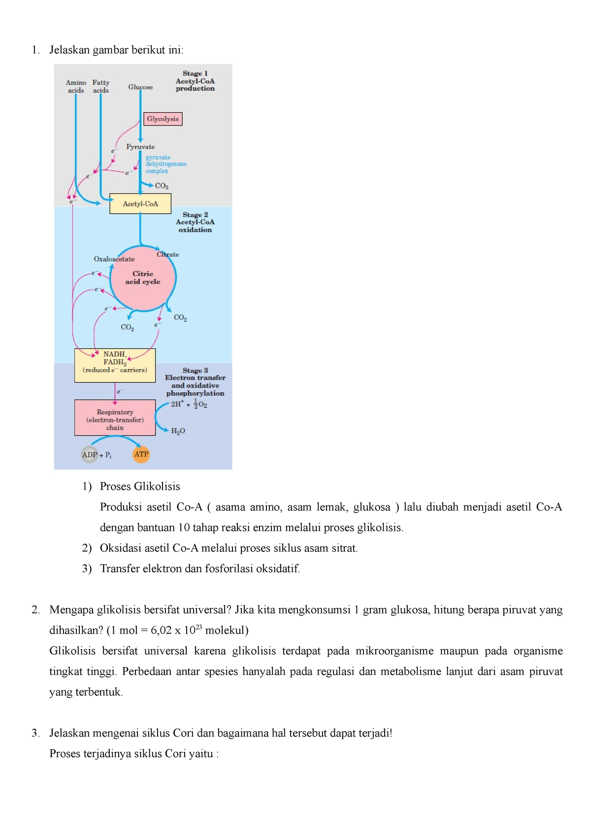 Soal Biokim Uas 2 1 - Tugas - Jelaskan Gambar Berikut Ini: Proses ...