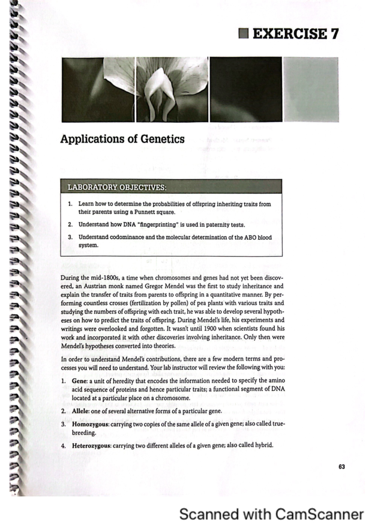 Applications of genetics lab manual - BSC 1005L - Studocu