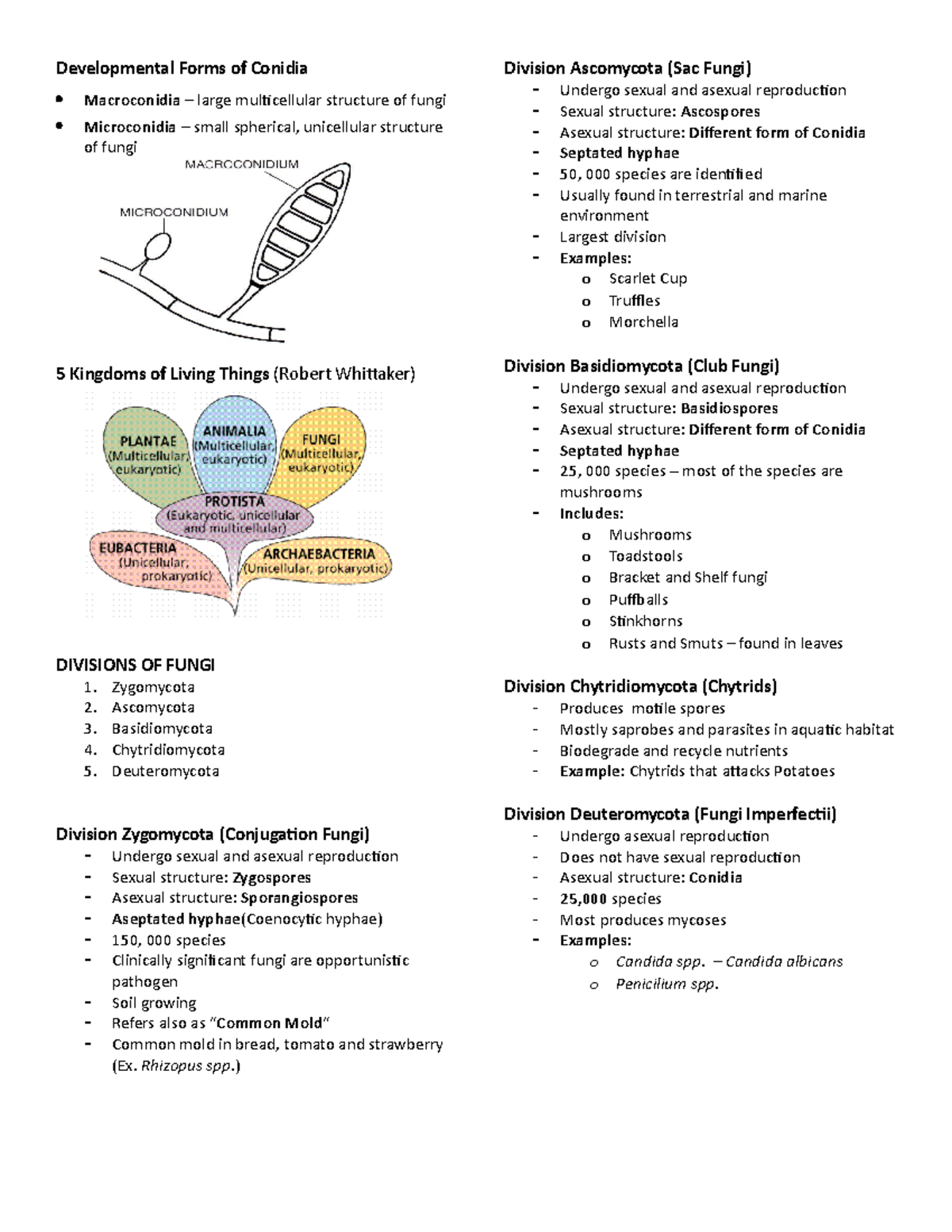 2 Divisions-OF- Fungi - Developmental Forms of Conidia Macroconidia ...