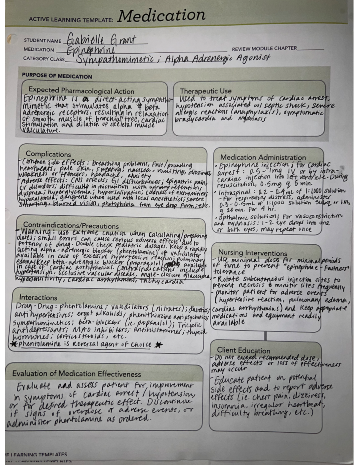Assignment drug information sheet - NU 306 - Studocu