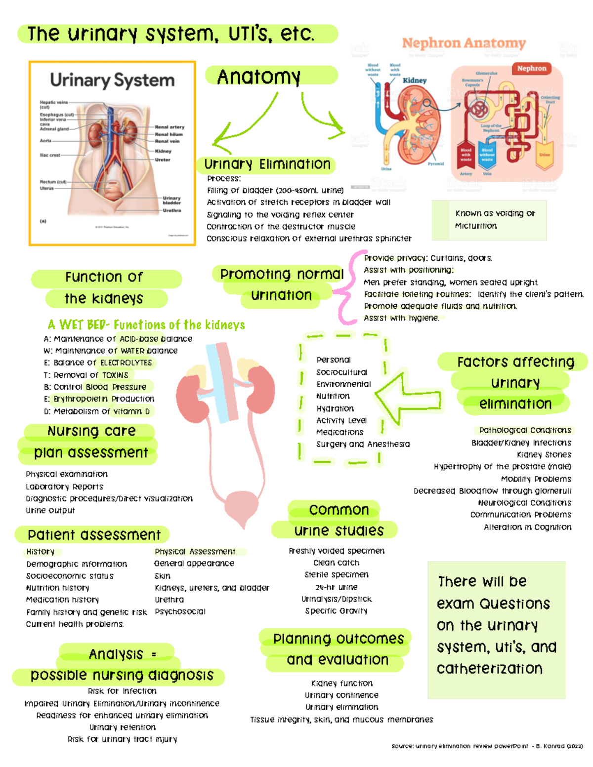 Urinary System, Catheters, Retention FULL Lecture Material - The ...