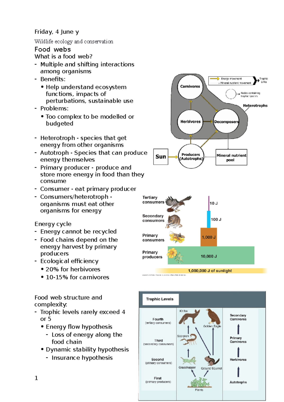 Lecture 10 food webs - Food webs - Wildlife ecology and conservation ...