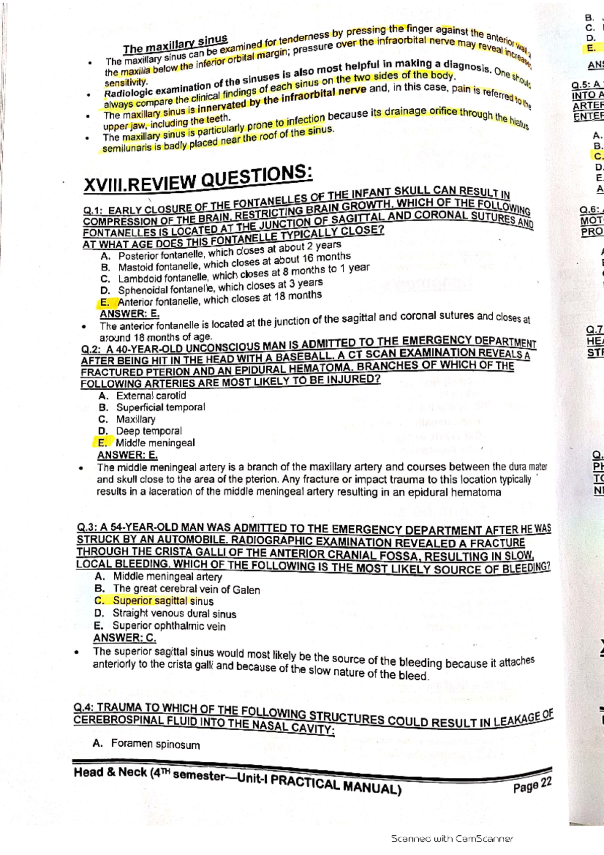 Best notes of head & Neck for Nursing students - anatomy - Studocu