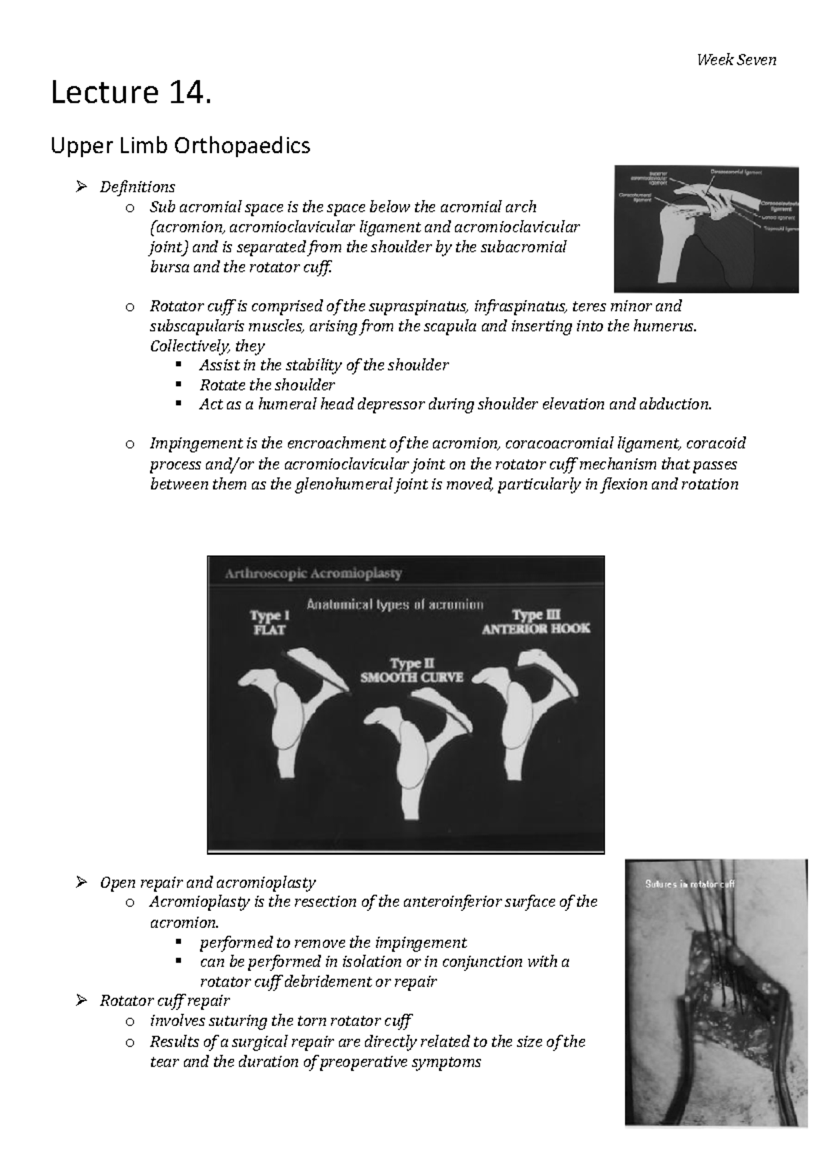 PHTY2020 Lecture 14 - Summary Notes - Lecture 14. Upper Limb ...