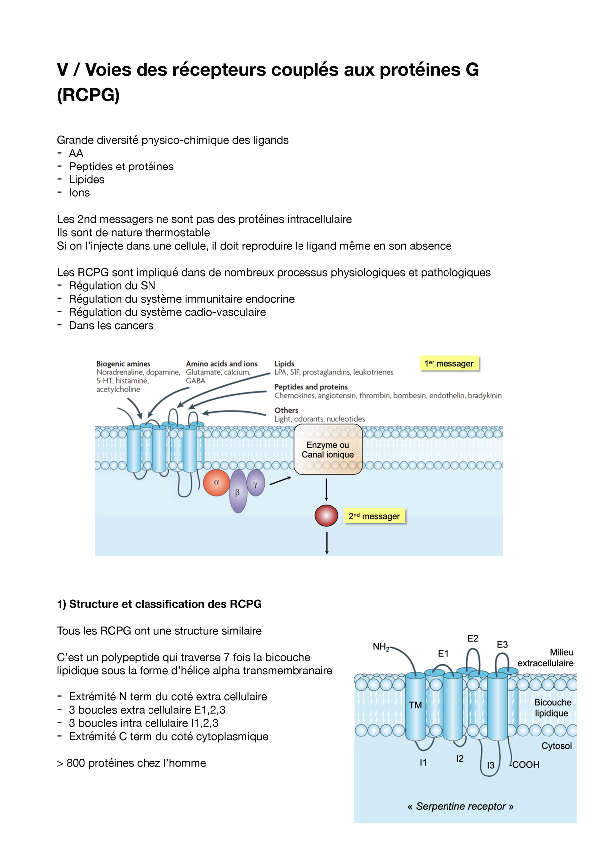 Récepteurs couplés aux protéines G