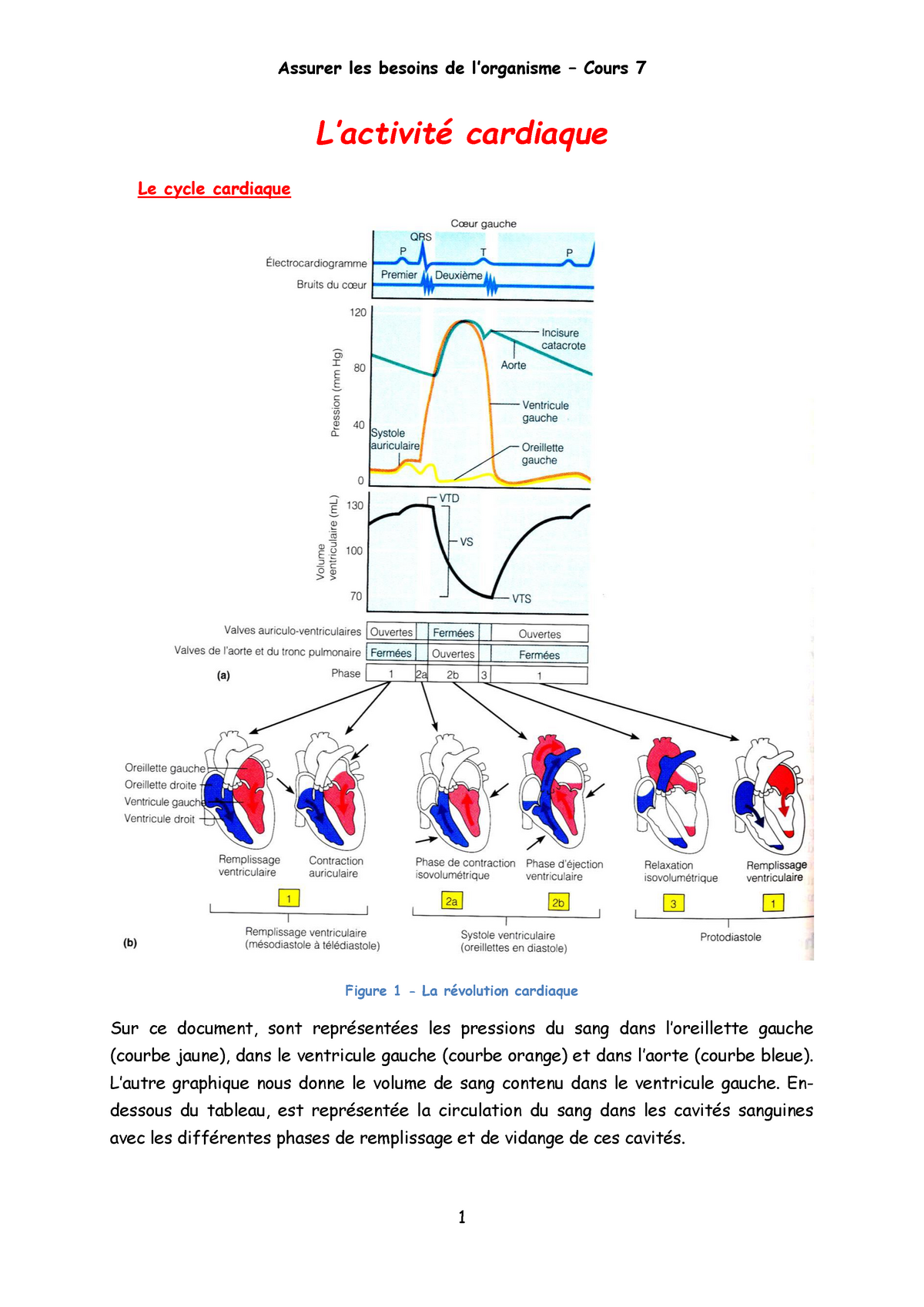 Sciences 2 Lactivité Cardiaque Le Cycle Cardiaque Figure 1 La Révolution Cardiaque Sur Ce 9215