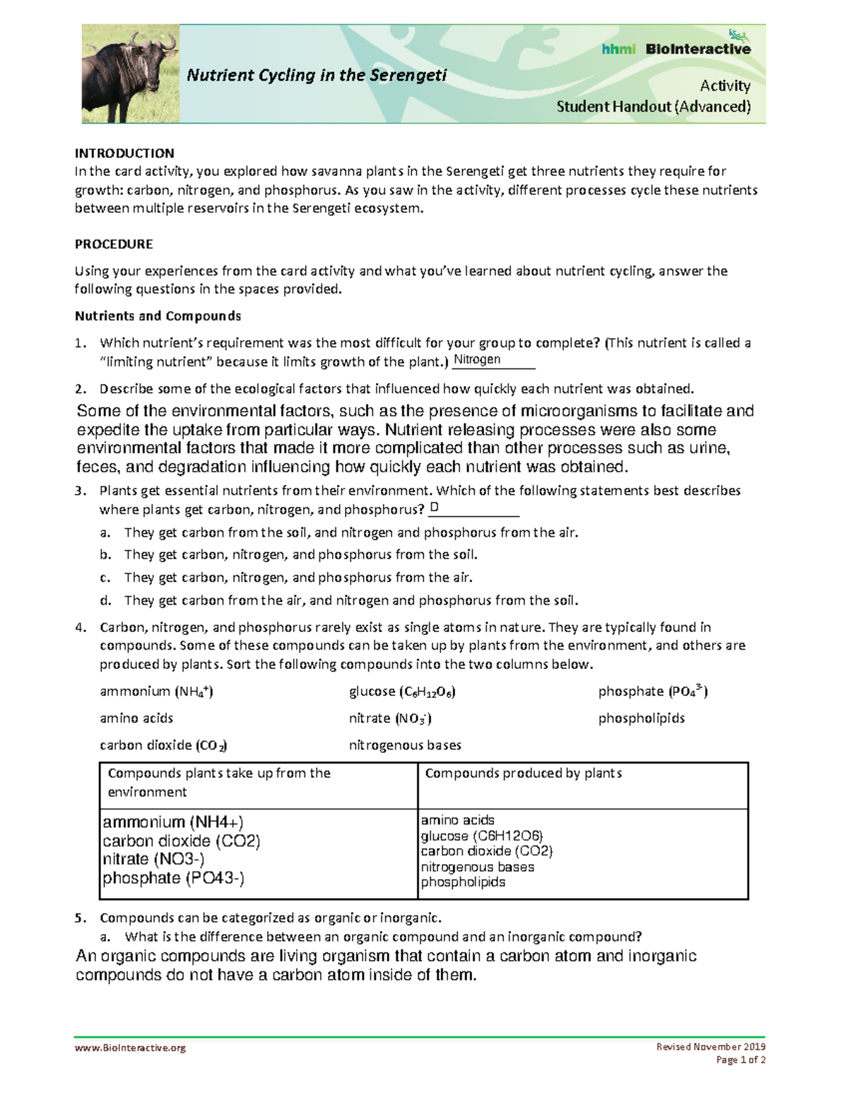 Nutrient Cycling Student Handout - Activity Student Handout For Nutrient Cycles Worksheet Answers