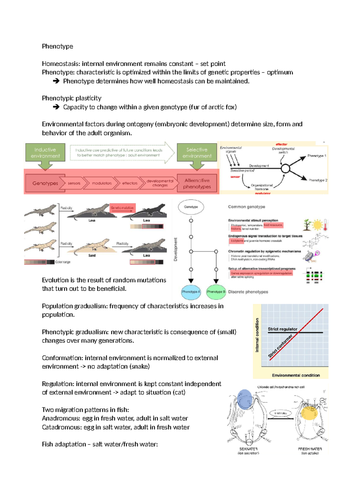 Lecture 1 Zoology - Phenotype Homeostasis: internal environment remains ...