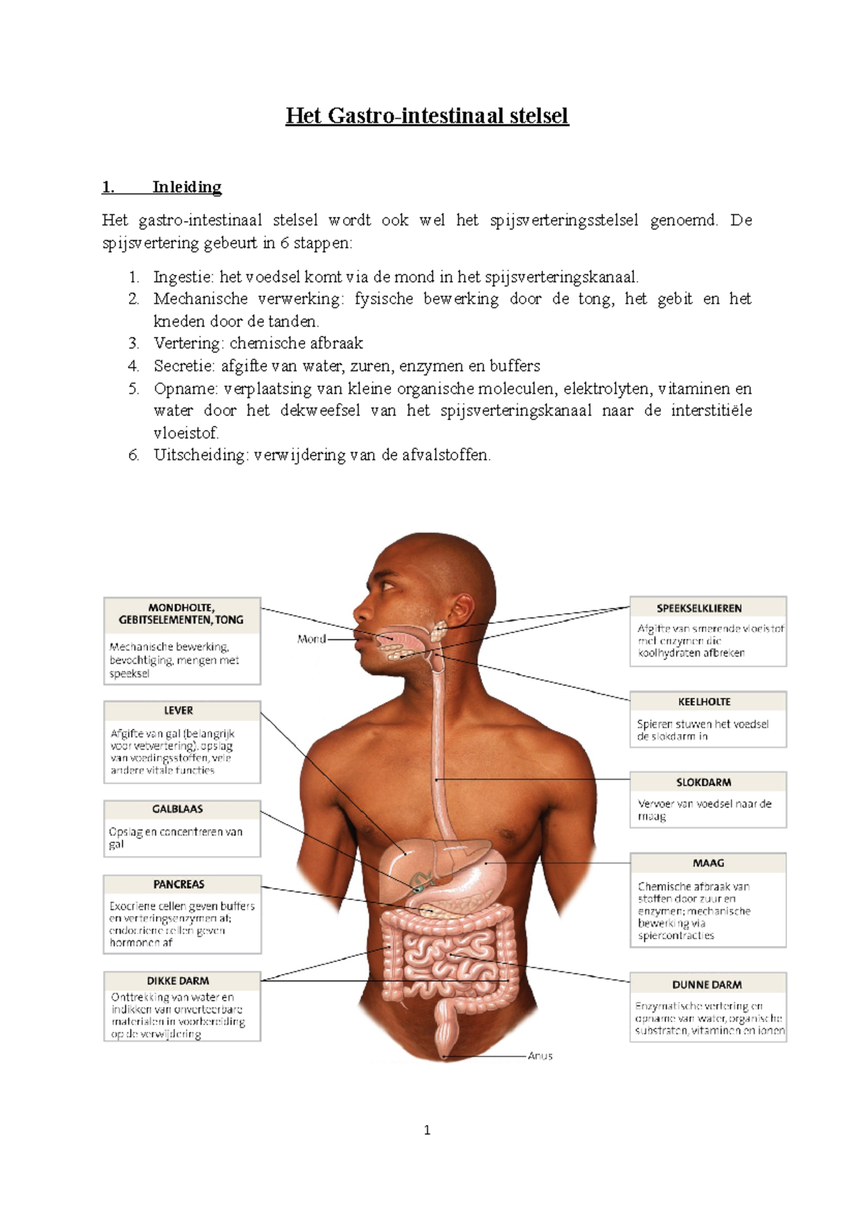 Het Gastro-intestinaal Stelsel - Het Stelsel 1. Inleiding Het Stelsel ...