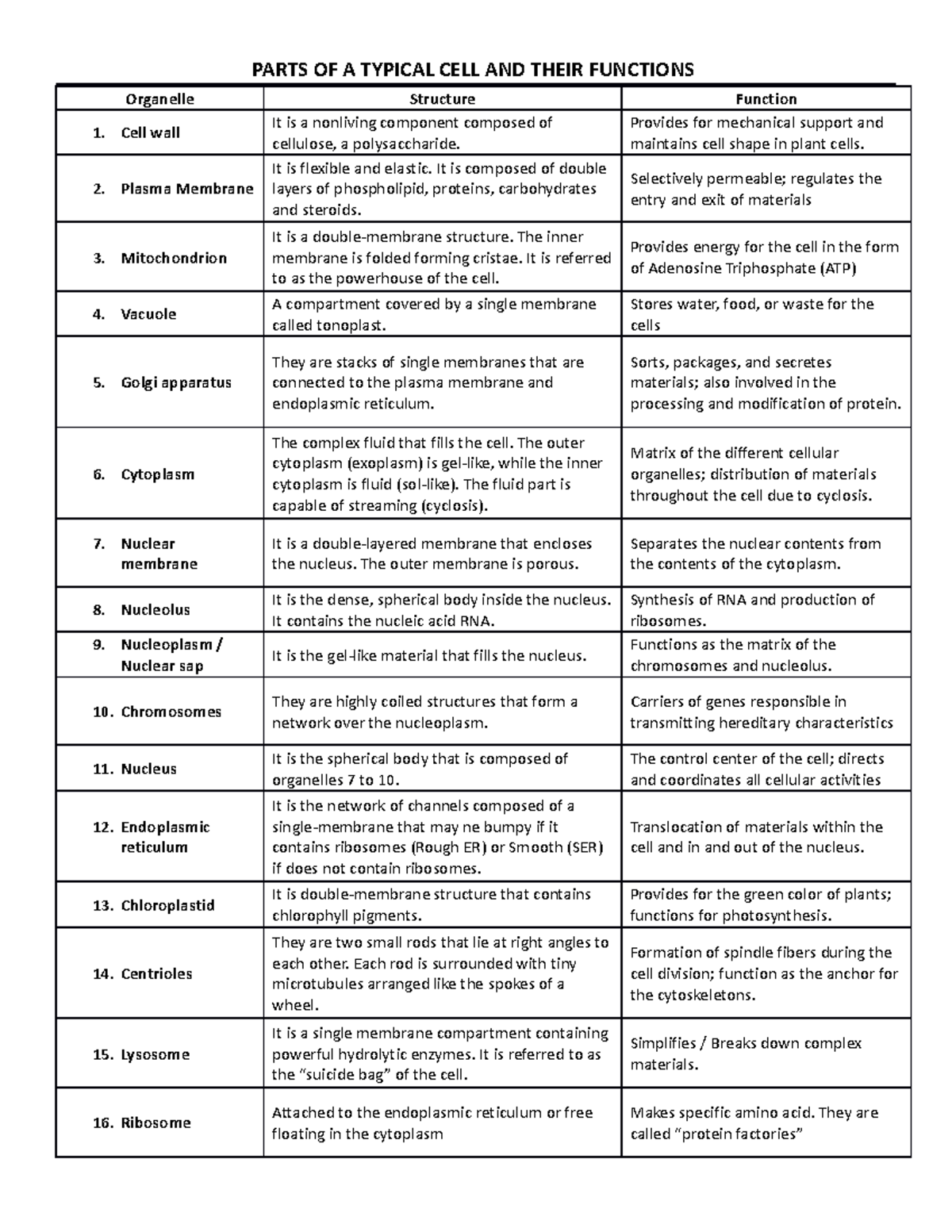 324880725-Parts-of-a-cell - PARTS OF A TYPICAL CELL AND THEIR FUNCTIONS ...