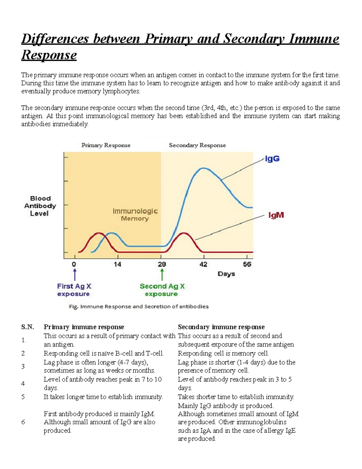 Differences Between Primary And Secondary Immune Response Differences Between Primary And