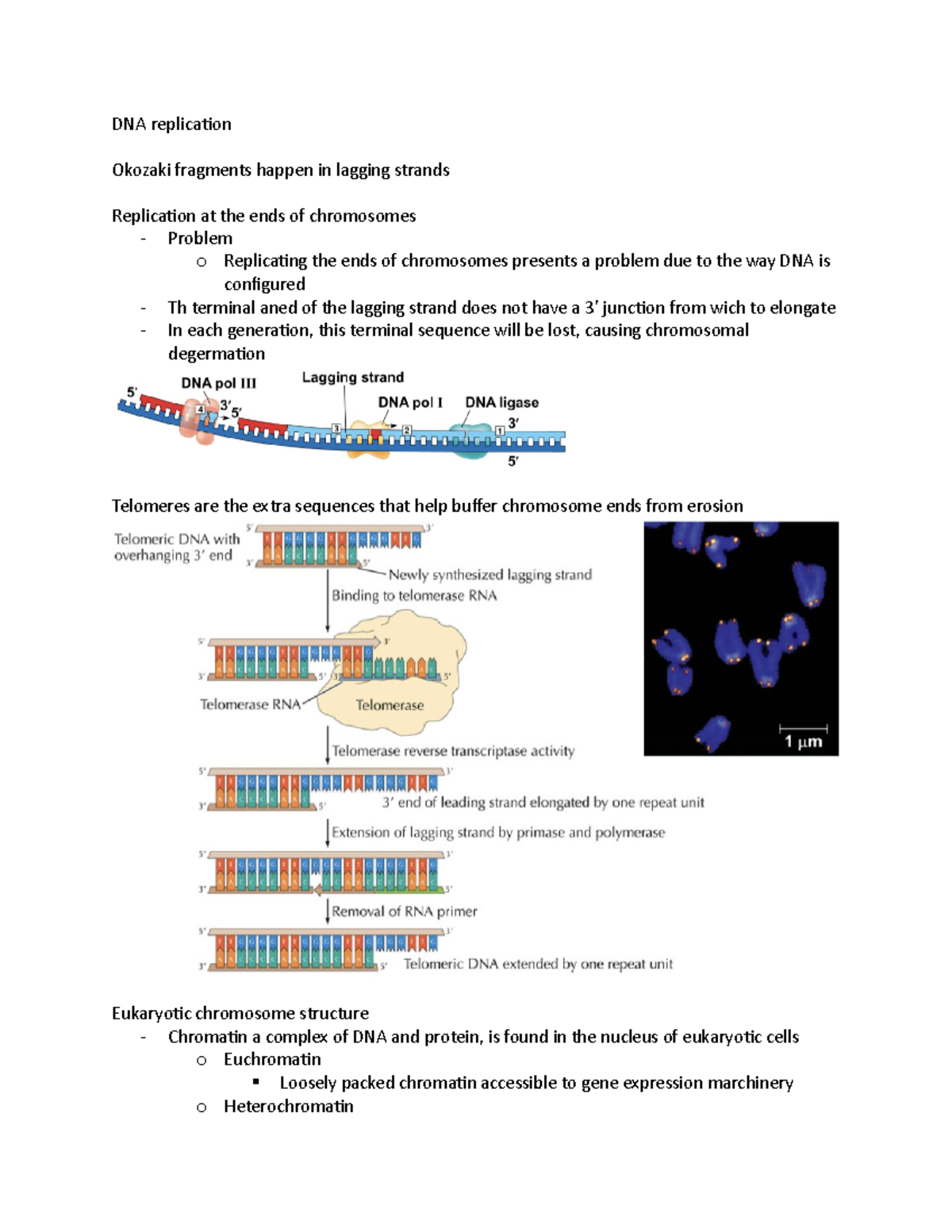 DNA replication 11:18 - Dr. Brain Couch - DNA replication Okozaki ...