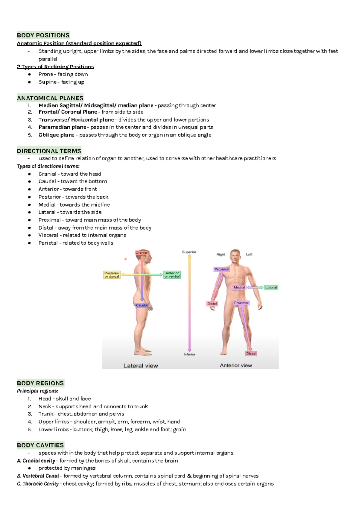 Topic 1 Intro to Human Anatomy and Physiology - BODY POSITIONS Anatomic ...