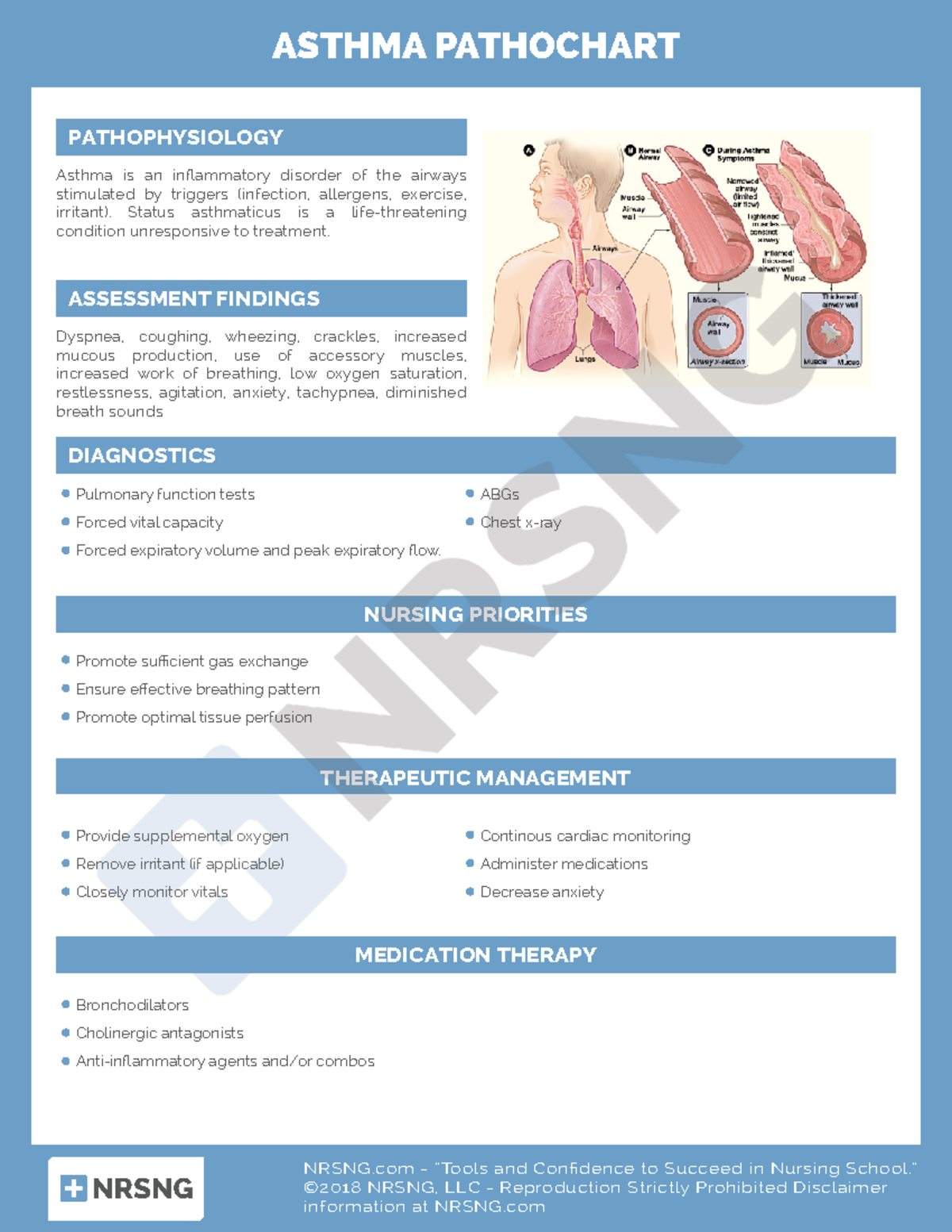 Cs-resp-003-asthma Patho Chart - Asthma Pathochart Asthma Is An 