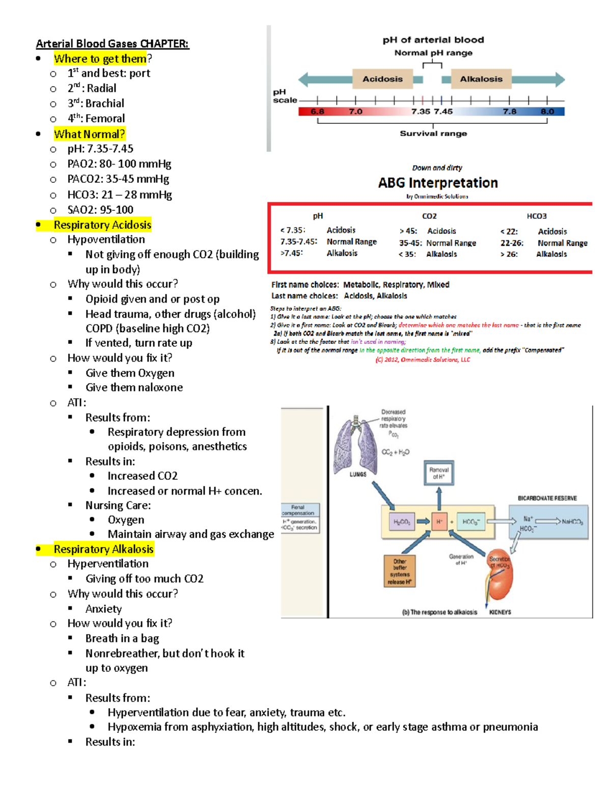 Exam 1 Review - Exam Study Guide - Arterial Blood Gases CHAPTER: Where ...