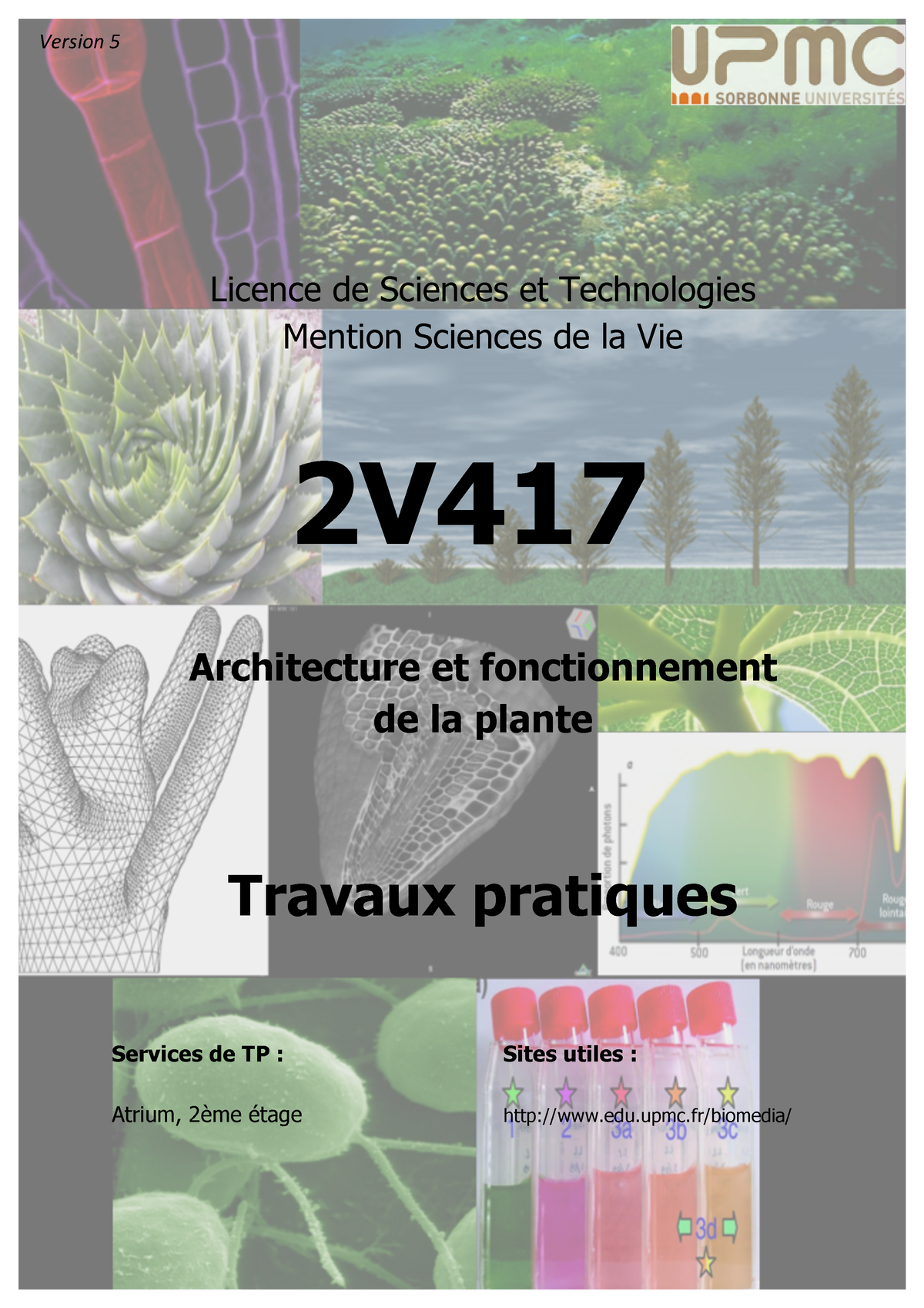 Biologie végétale] Légendes Chaîne de Transport des Électrons