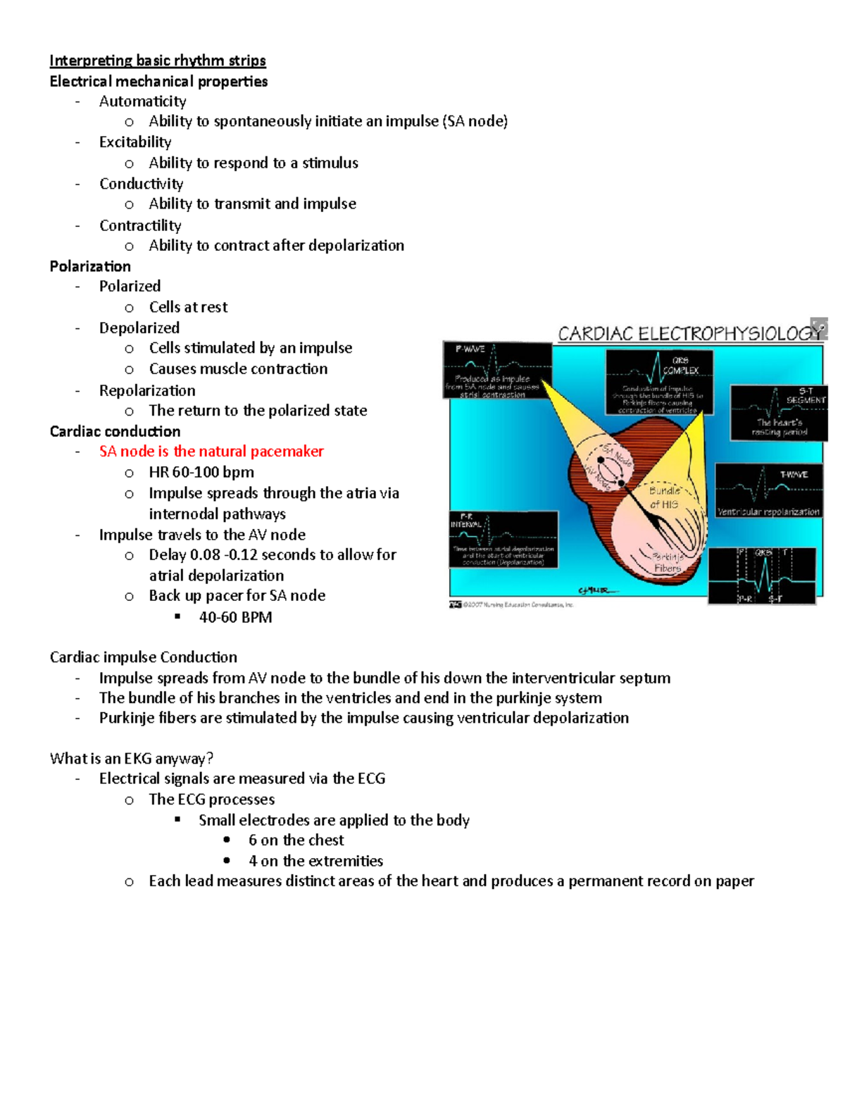 Basic rhythm strips - Interpreting basic rhythm strips Electrical ...