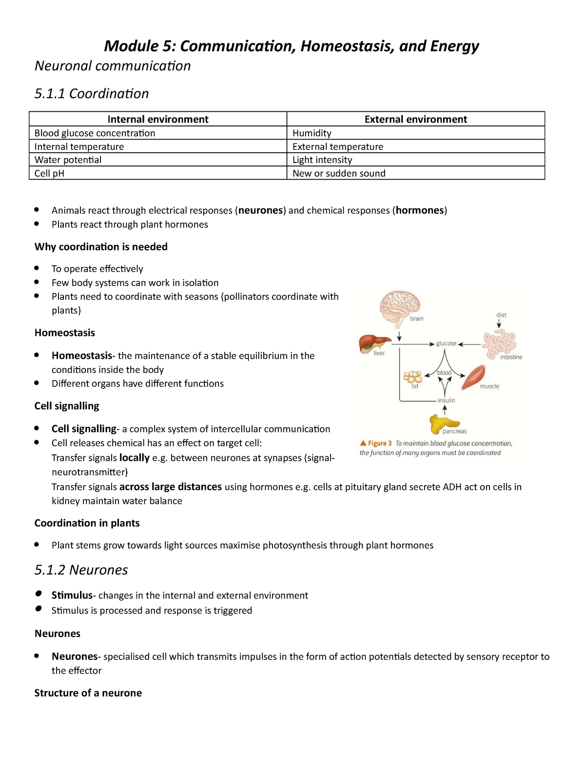 case study neurons and cell communication answer key