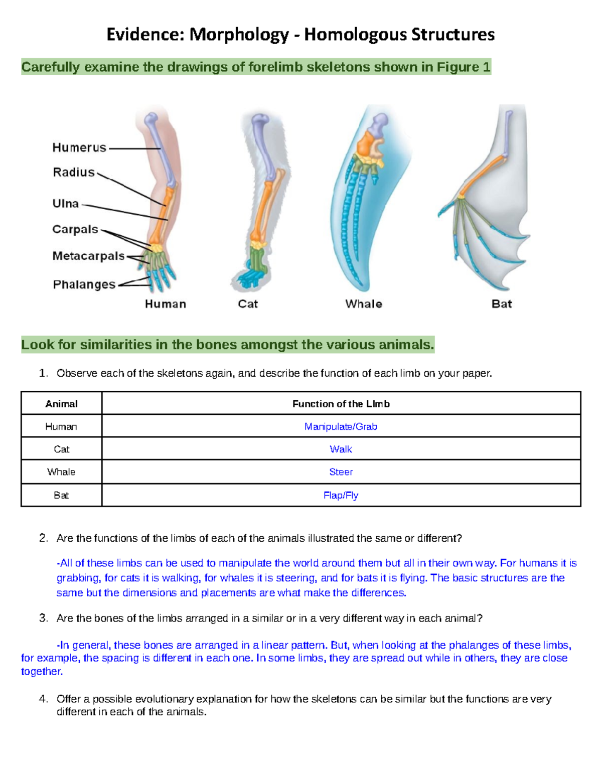 Evidence Of Evolution Practice - Evidence: Morphology - Homologous  Structures Carefully examine the - Studocu