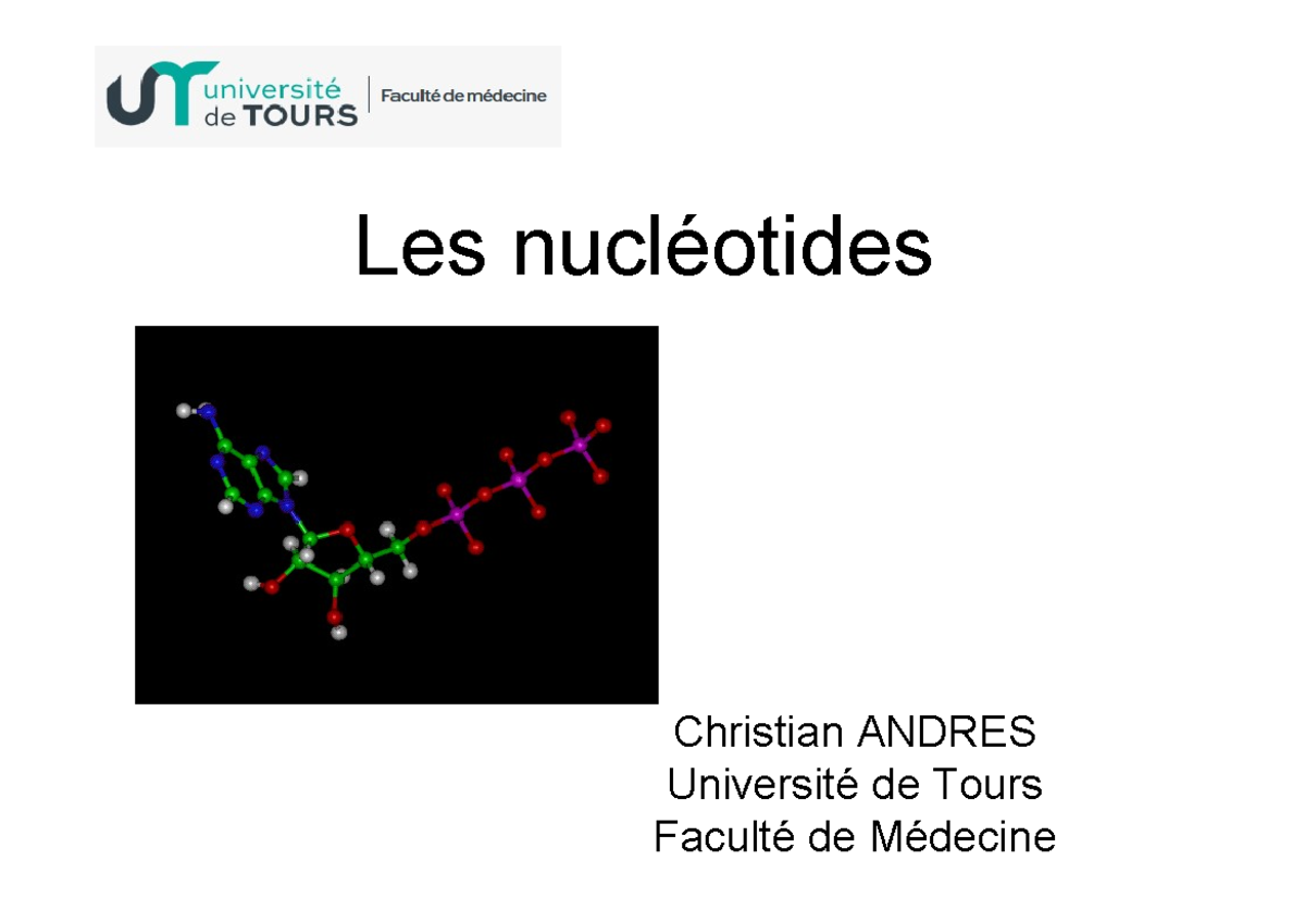 Ac nucléiques Andres Les nucléotides Christian ANDRES Université de
