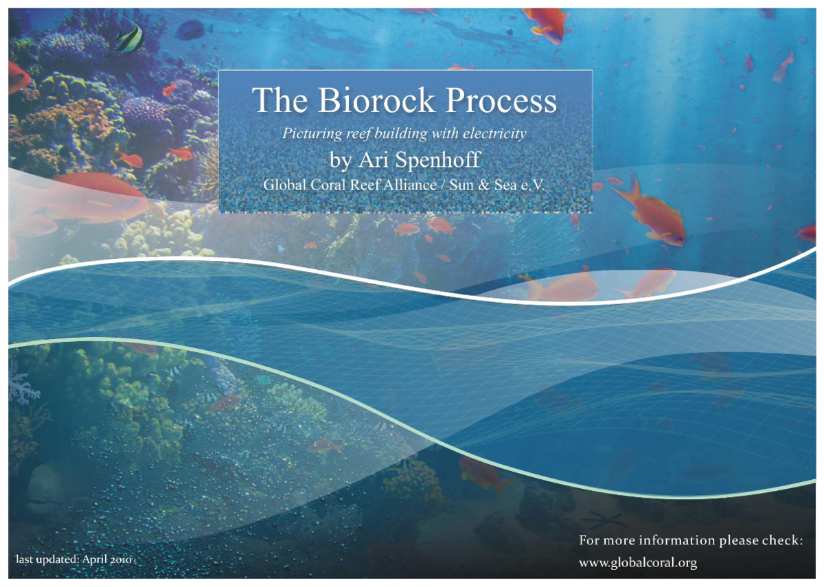 Biorock booklet online version 1 - The Biorock Process Picturing reef ...