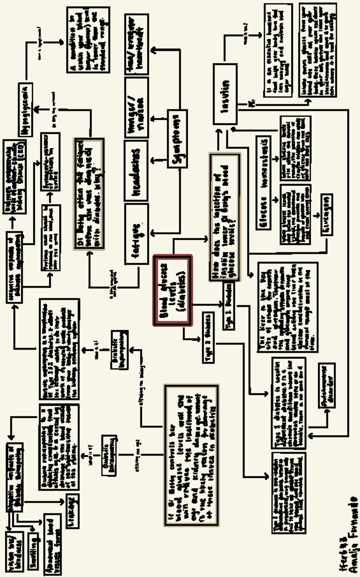 Bio Sci 101 Notes 2 - Summary Life! Origins and Mechanisms - vision ...