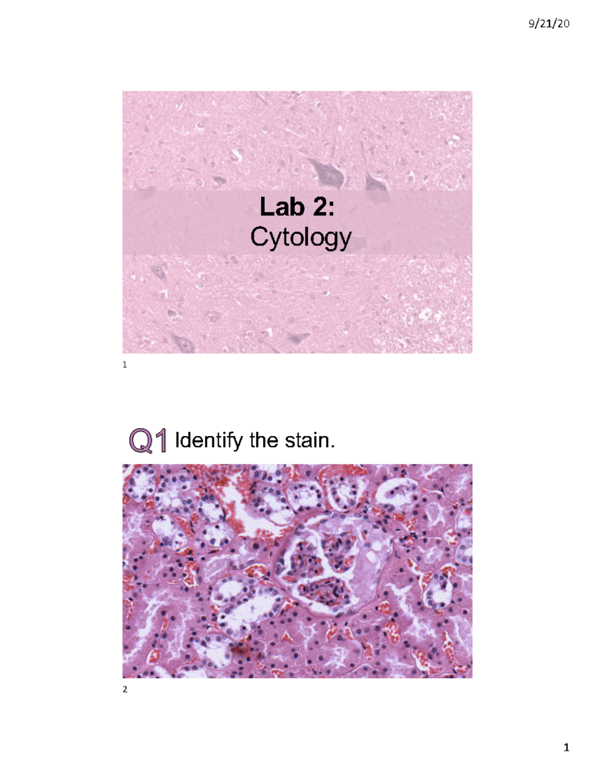 Lab 2 - Cytology - Lecture Notes 2 - Lab 2: Cyto Log Y ####### 1 ...