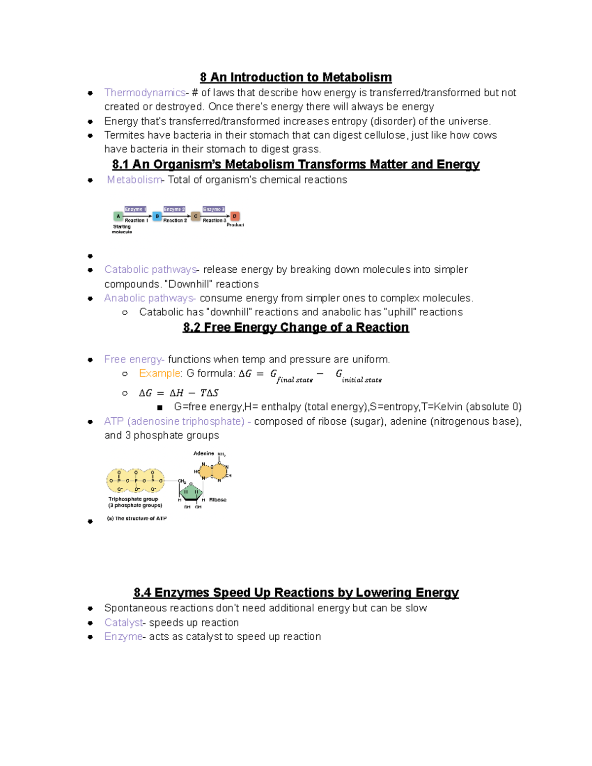 Chapter 8 - Matter and energy - 8 An Introduction to Metabolism ...