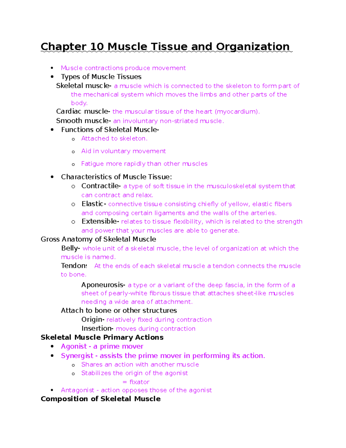 Chapter 10 Muscle Tissue And Organization - Chapter 10 Muscle Tissue ...