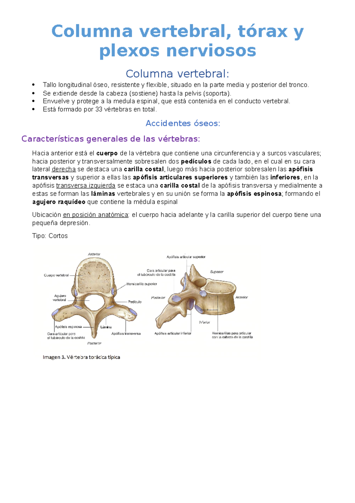 agujero intervertebral