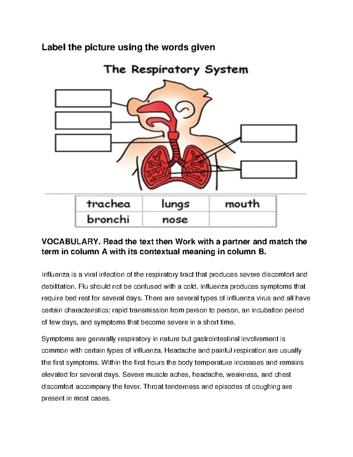 Respiratory System Practice - Label the picture using the words given ...