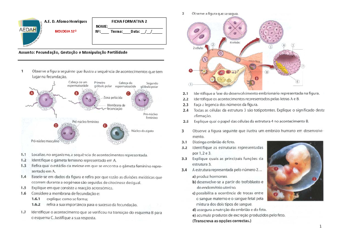 Bio12 FAF2 Fecundação, Gestação e Manipulação Fertilidade CC - FICHA ...
