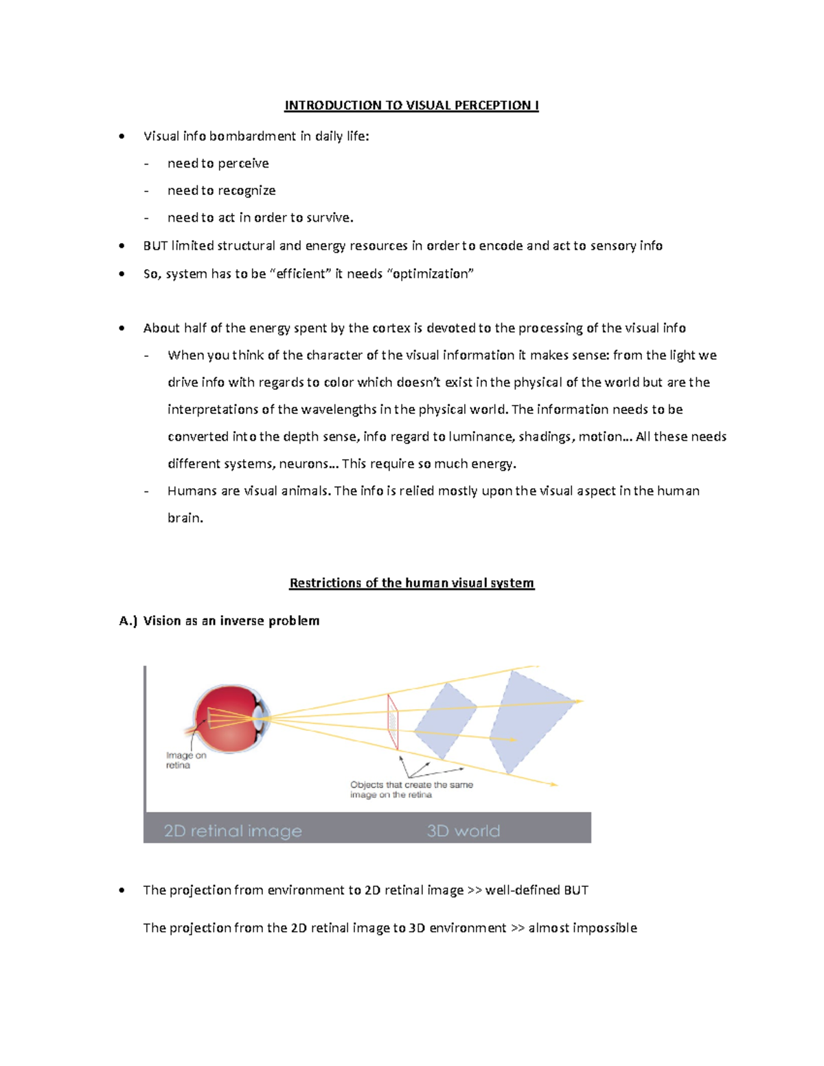 Notes INTRODUCTION TO VISUAL PERCEPTION I Visual info bombardment in