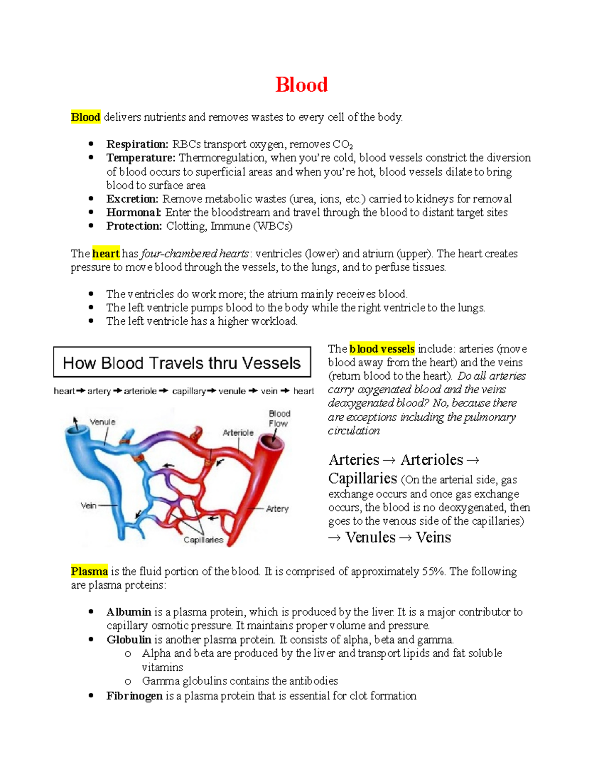 Exam 3 Notes Blood, Blood Types, Clotting Blood Blood delivers