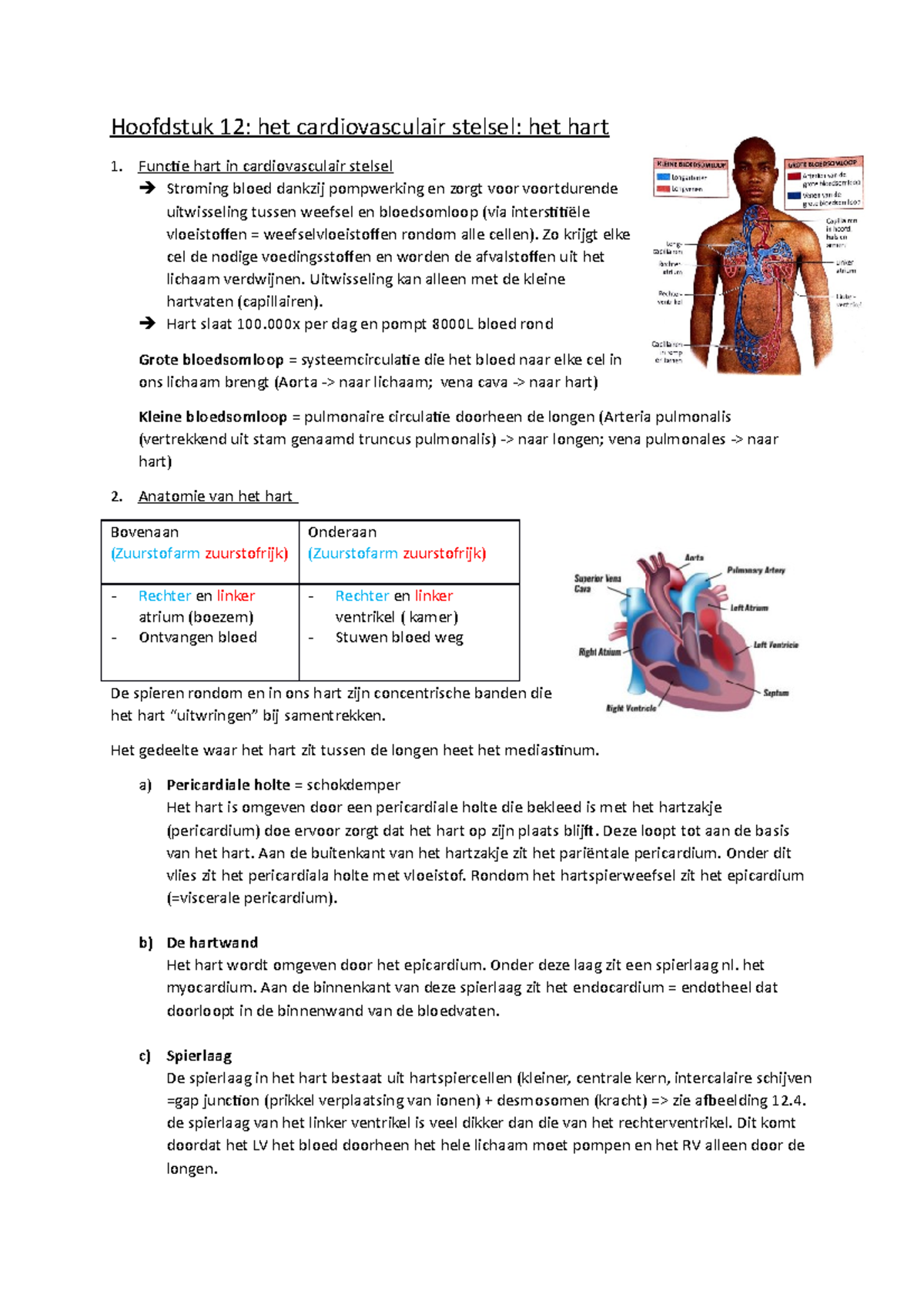 Hoofdstuk 12 Het Hart - Docent: Valerie Devos - Hoofdstuk 12: Het ...