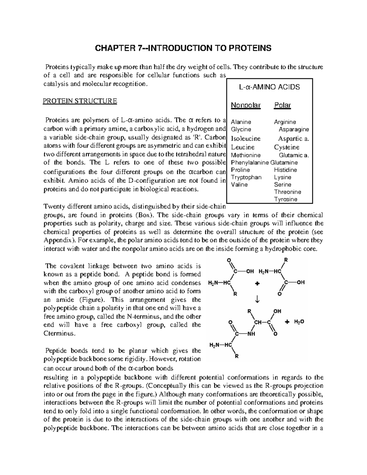 Chapter 7- Introduction TO Proteins - CHAPTER 7-INTRODUCTION TO ...