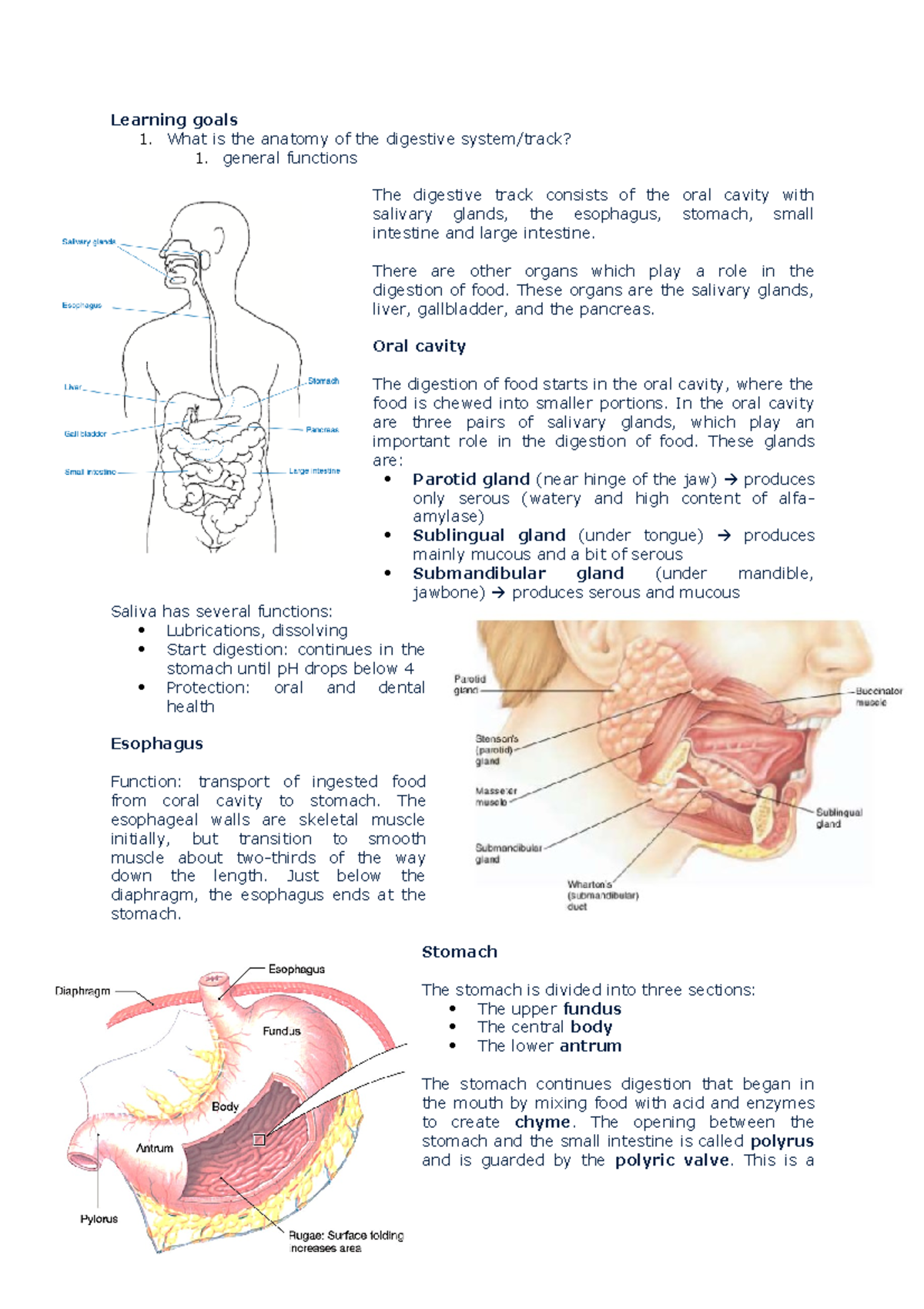 Case 2 - digestive tract and digestion, absorption macronutrients ...