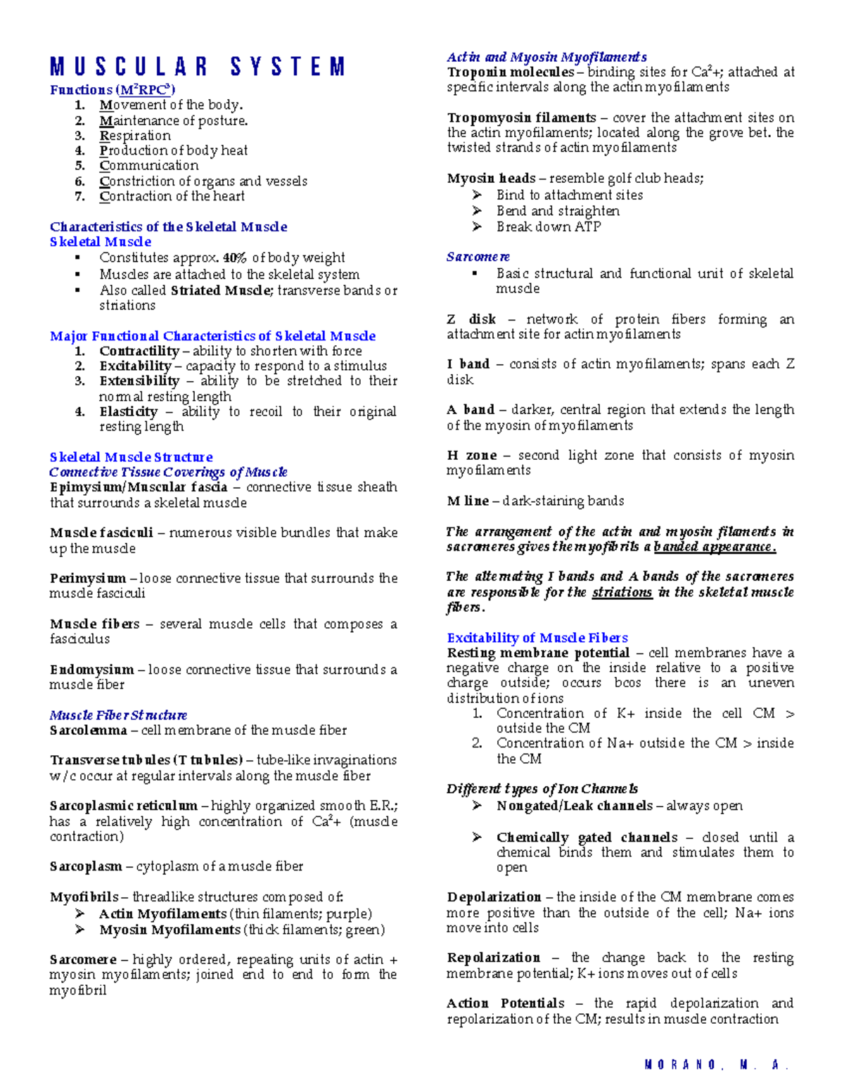 7-Muscular-System - MUSCULAR SYSTEM - M U S C U L A R S Y S T E M ...