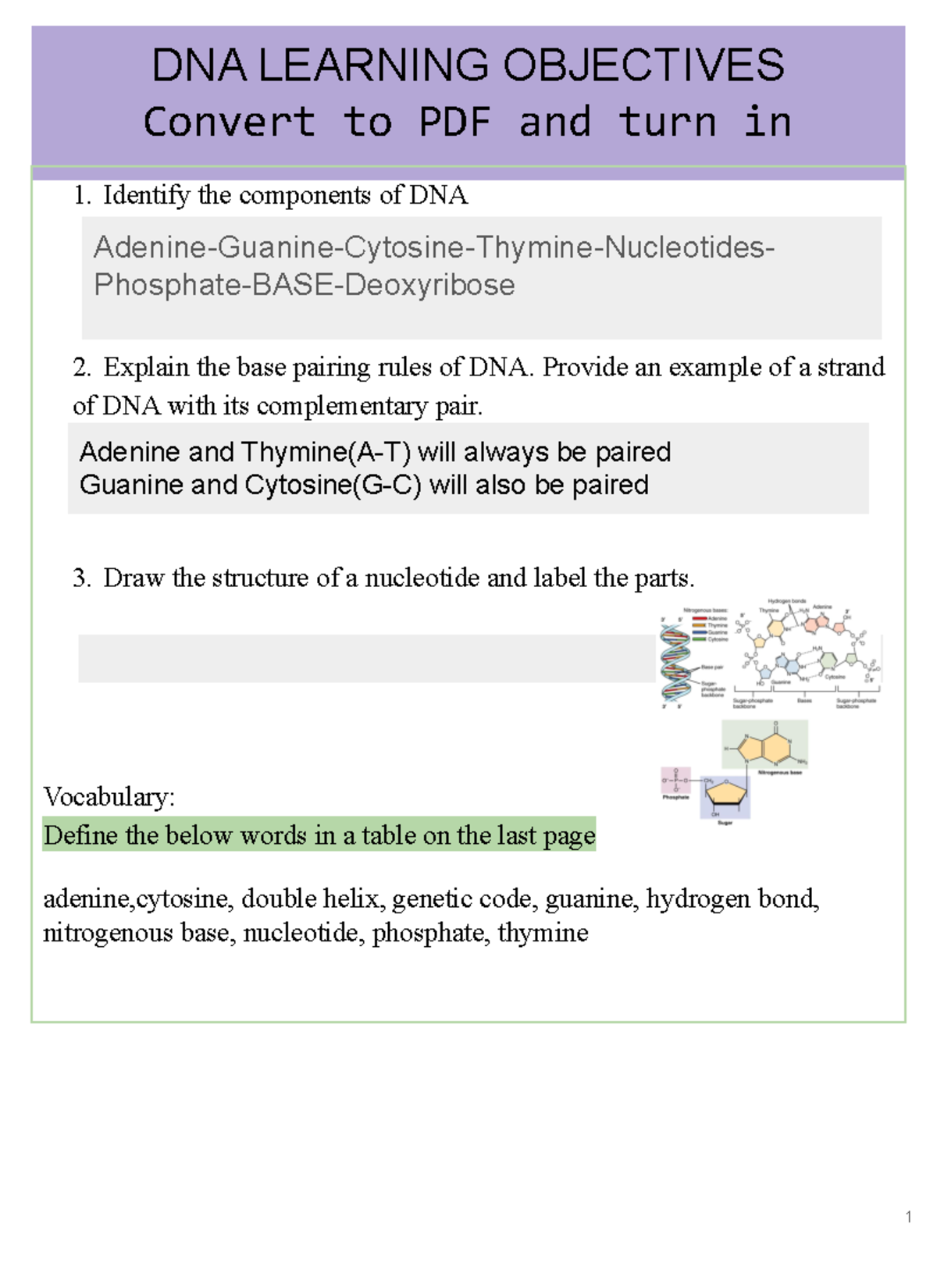 Copy of DNA Notes STU - It's for biology class - DNA LEARNING ...