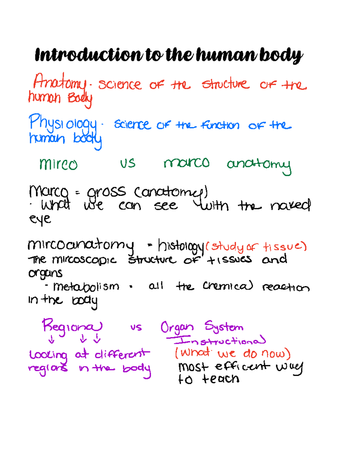 Chapter 1 - Nnjihihugugub - Introduction To The Human Body Anatomy ...