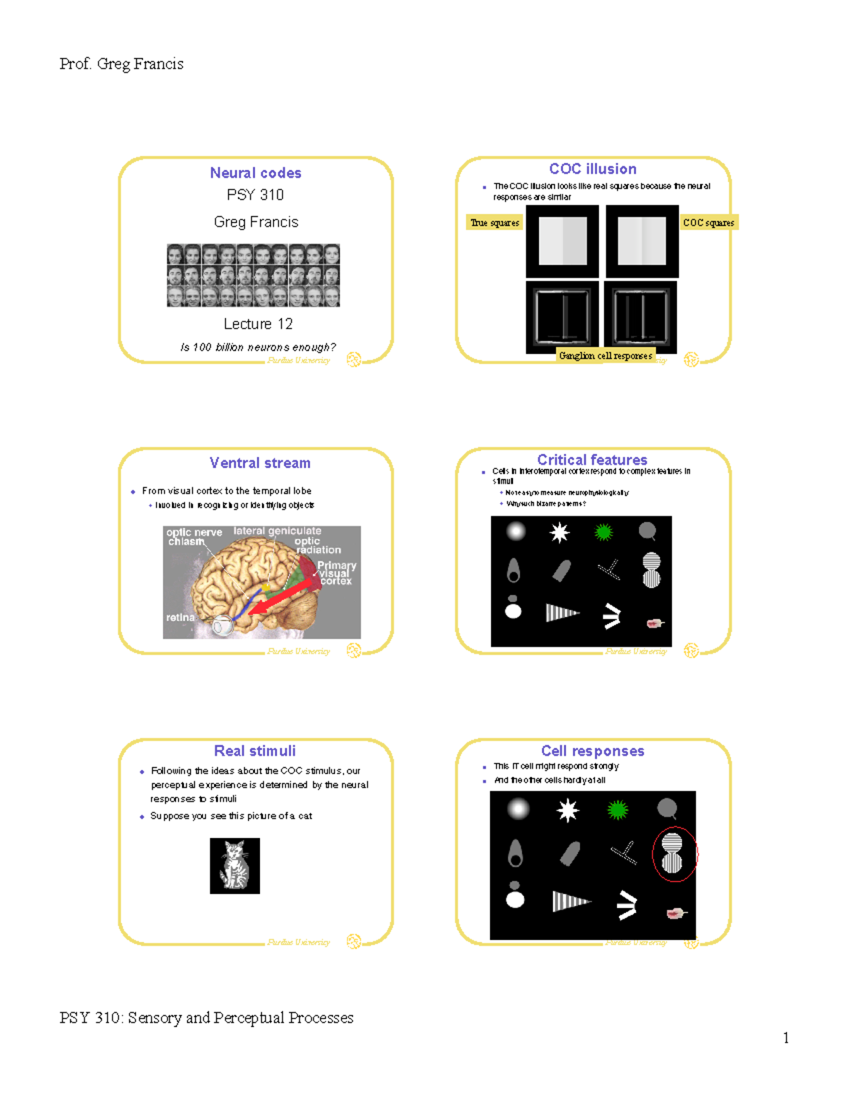 Lecture slides, lecture 12 - Prof. Greg Francis Neural codes PSY 310 ...