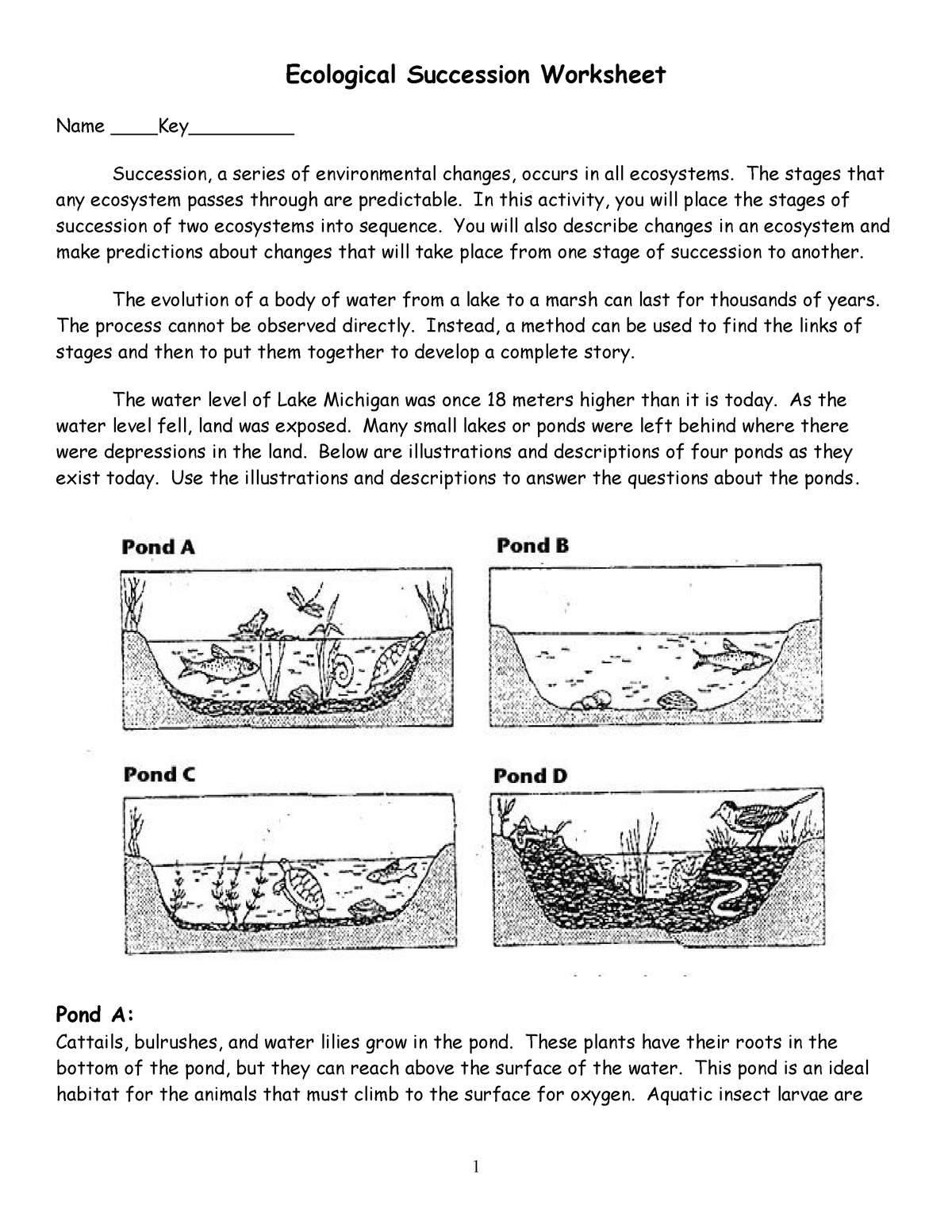 Ecological Succession Worksheet key - Ecological Succession Worksheet ...