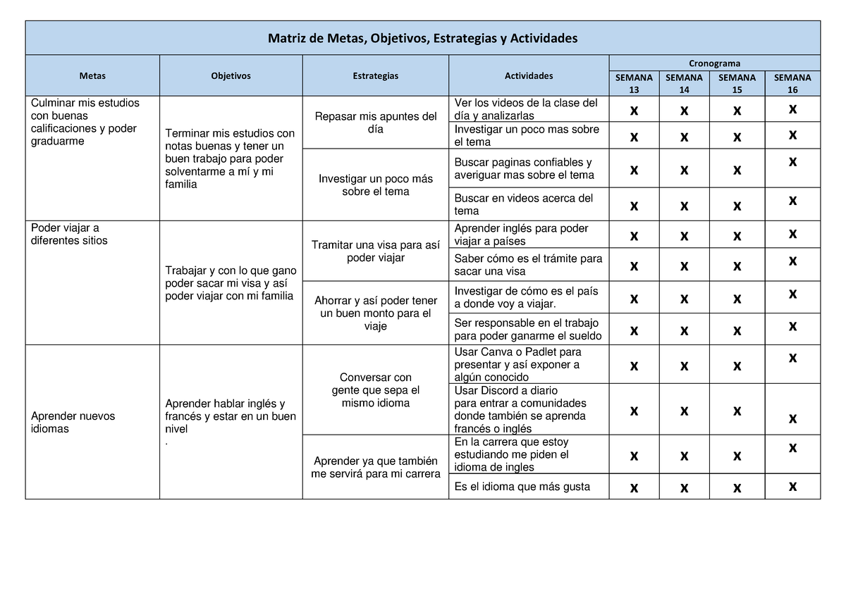 Matriz Xiomara Matriz De Metas Objetivos Estrategias Y Actividades Metas Objetivos Sexiezpix 8289