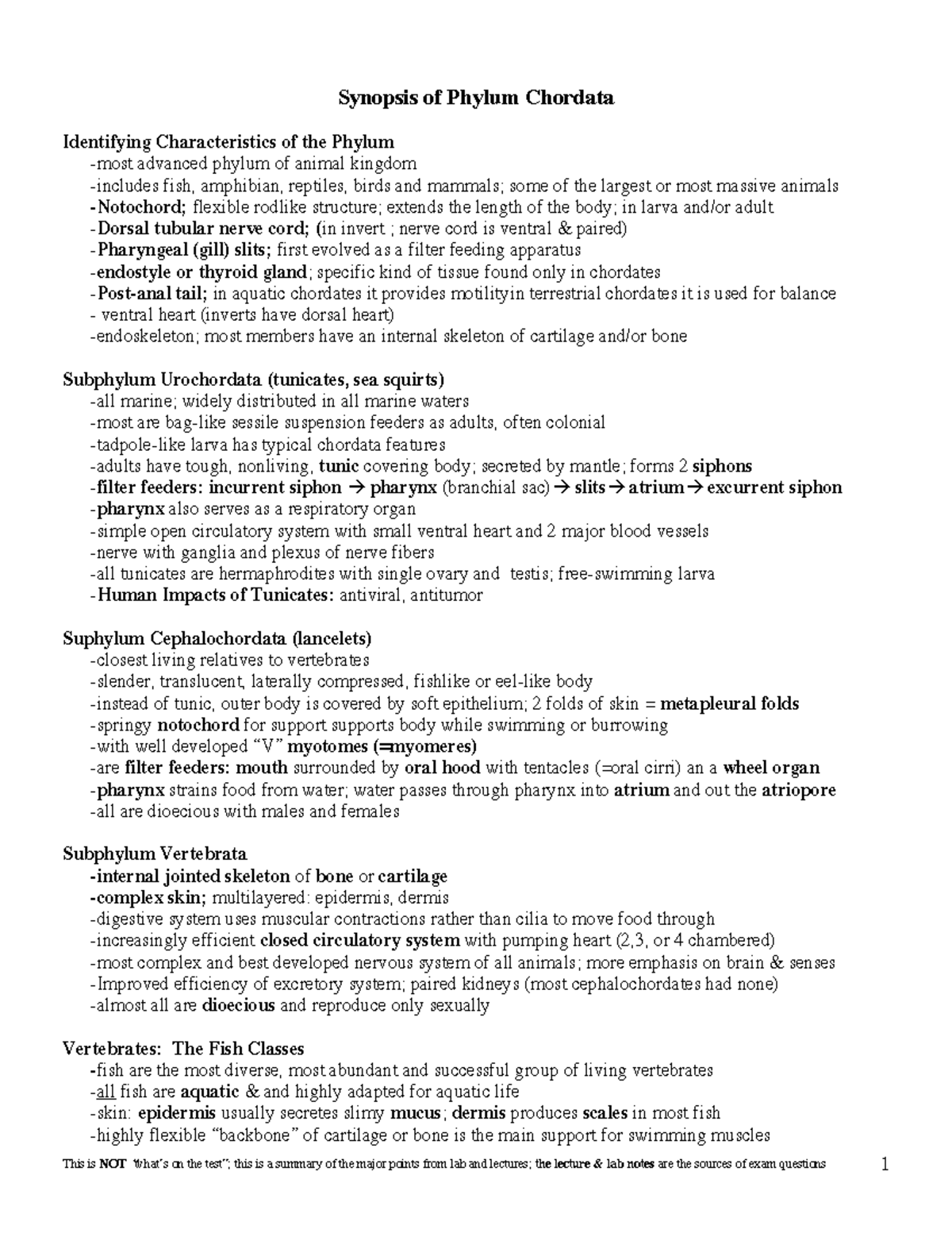 Chordata Synopsis - Synopsis of Phylum Chordata Identifying ...